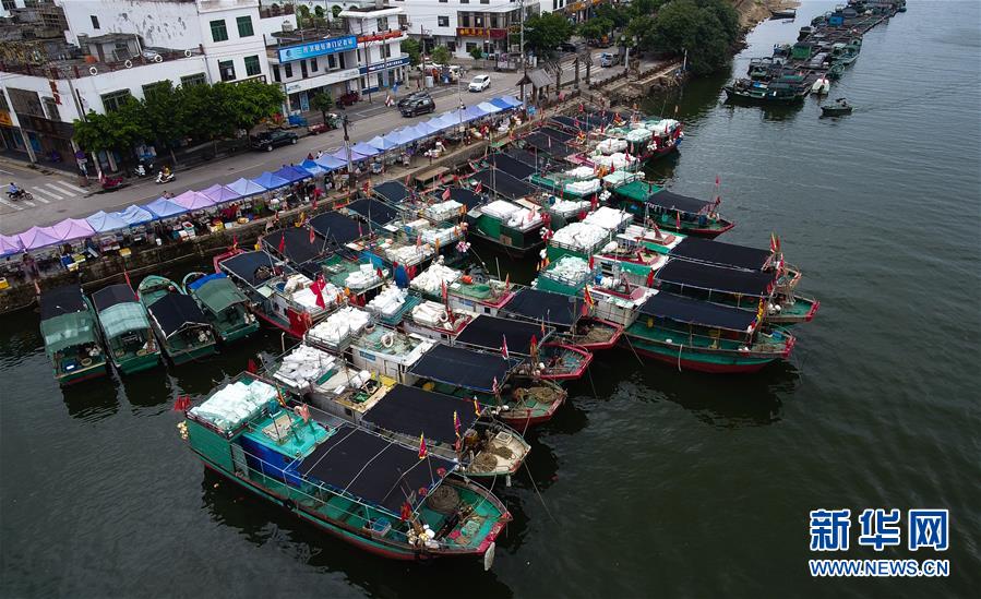 7月17日,渔船在海南琼海潭门中心渔港停泊避风。 新华社记者杨冠宇摄
