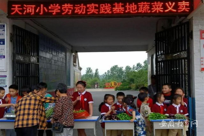 天河小学2.png