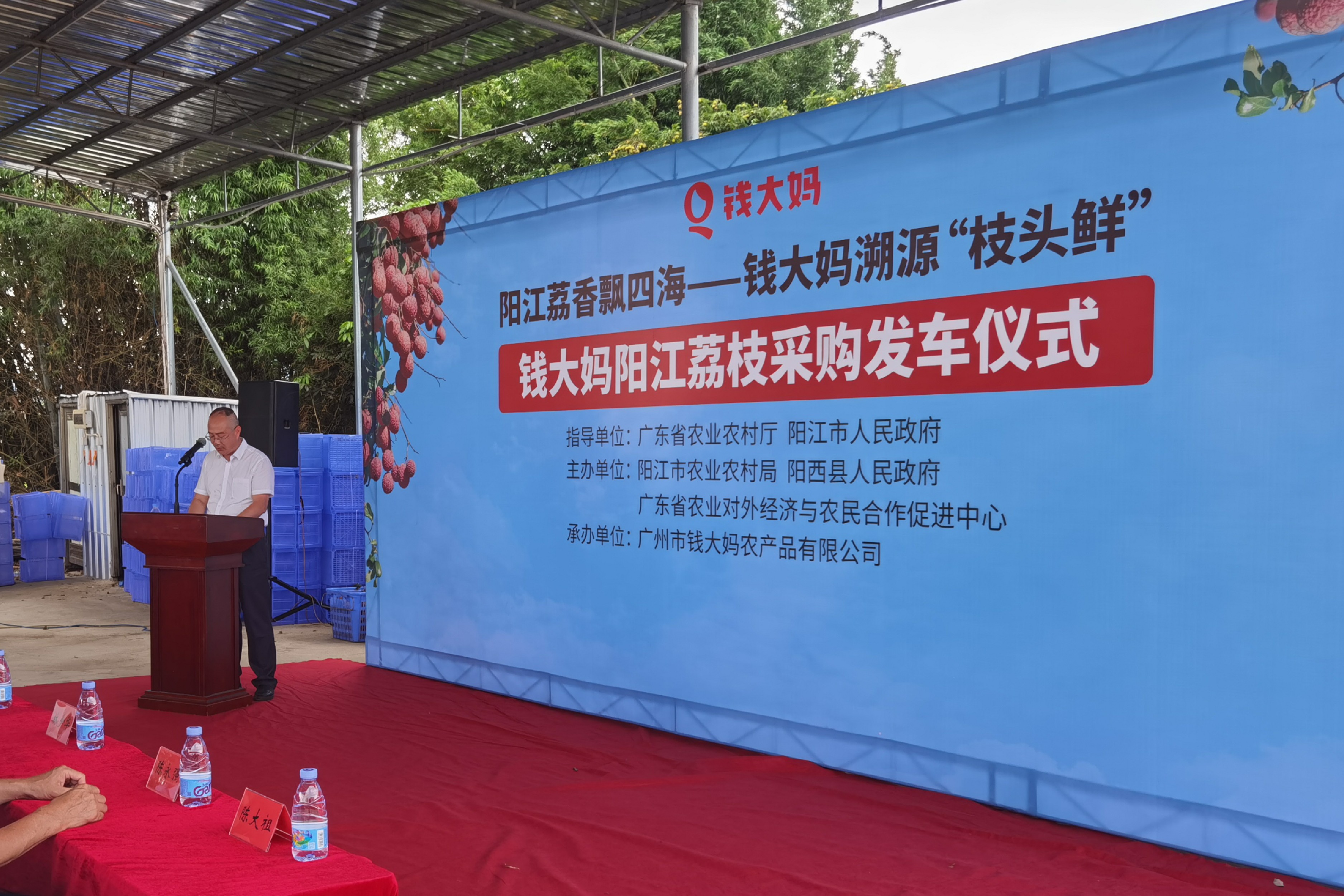 钱大妈直采阳江荔枝满载发车，百年荔乡焕发产业新活力