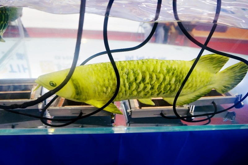 Ƽѿ ˮԴʹ