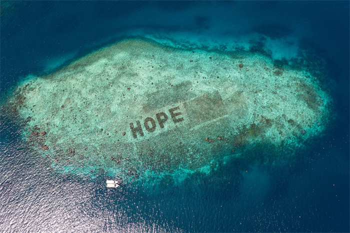 Ϸ2024һ˵Ŀɳչ桷̼㼣